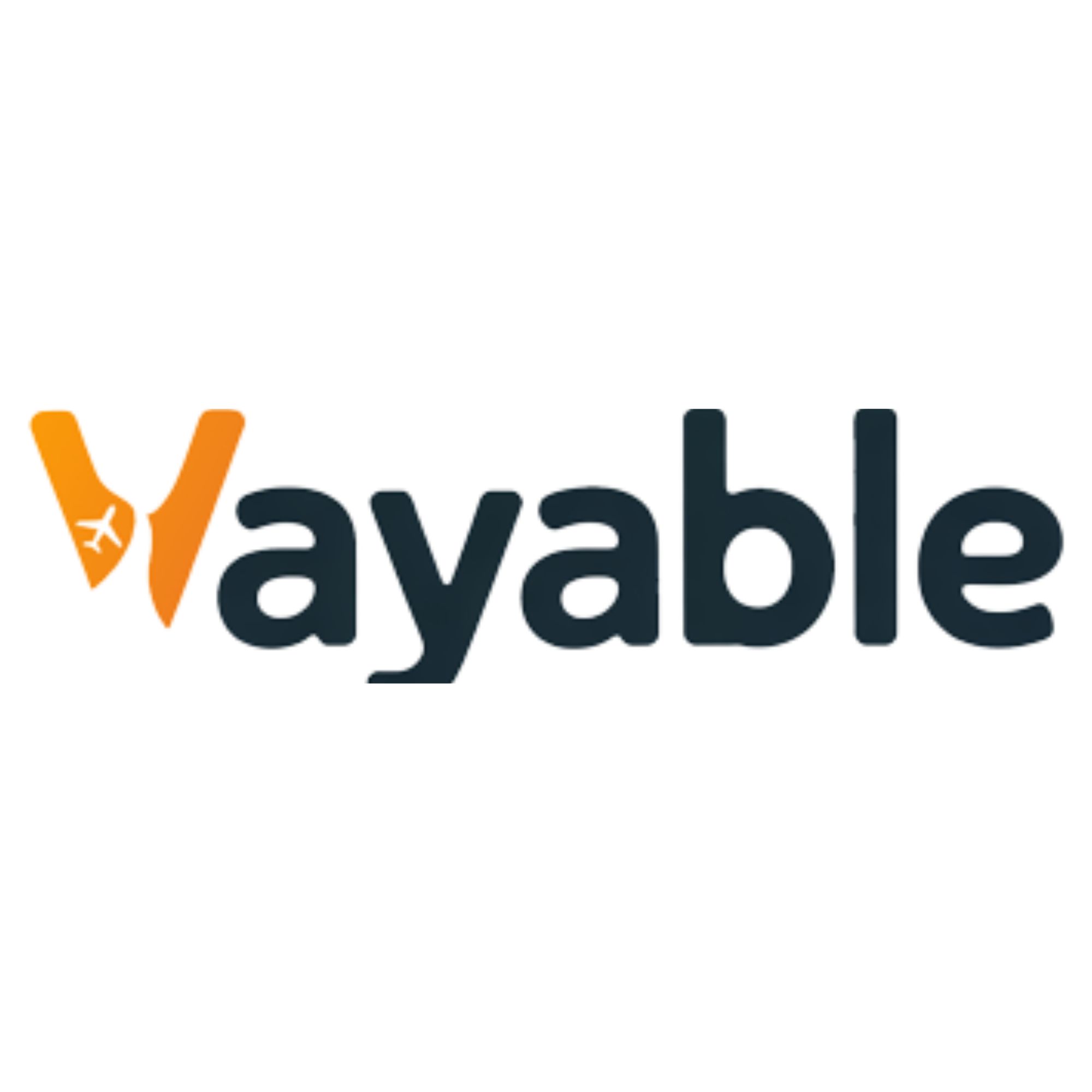 Travel Agent - Vayable Trips Private Limited